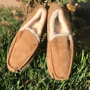 UGG🍁🍂Ascot Mens slippers chestnut size 11